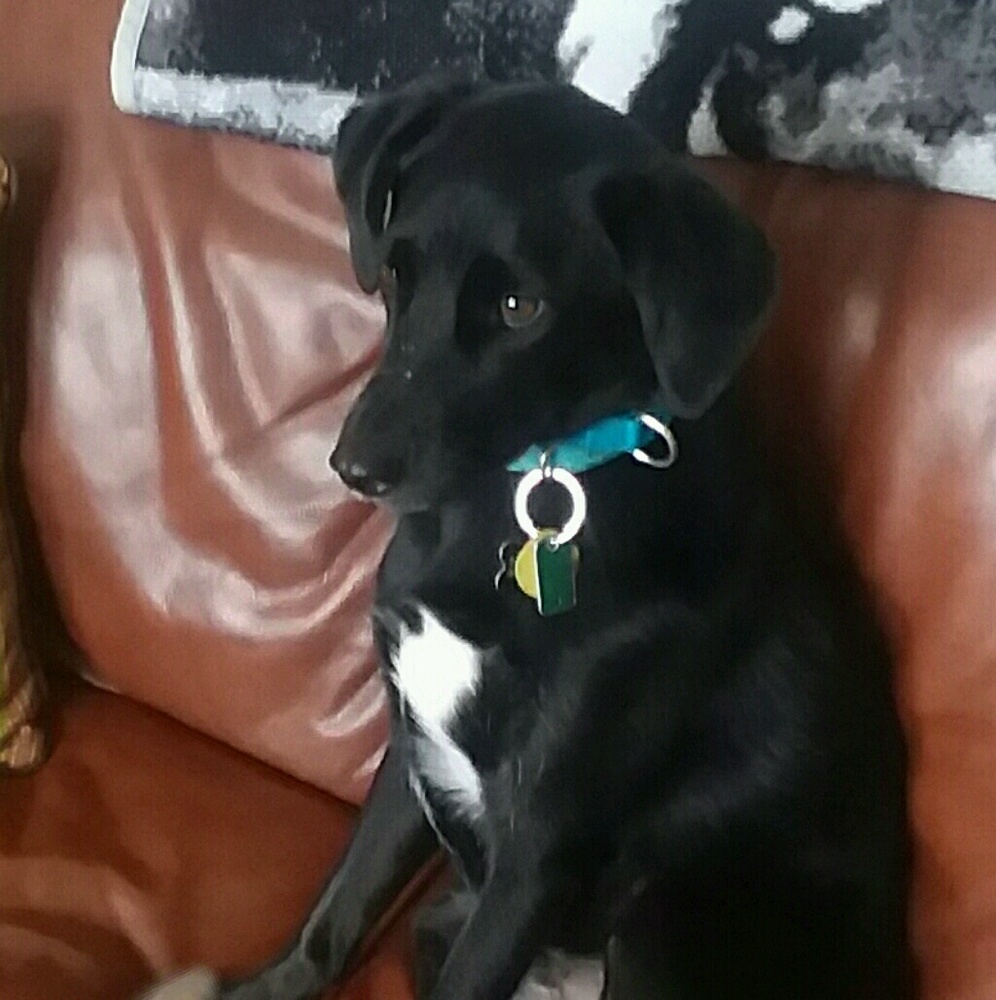 Meet your Posher, Zoe